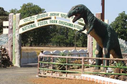 Ghughua Fossil Park, Dindori, Madhya Pradesh - Vushii.com Ghughua Fossil Park, Dindori, Madhya Pradesh - Vushii.com